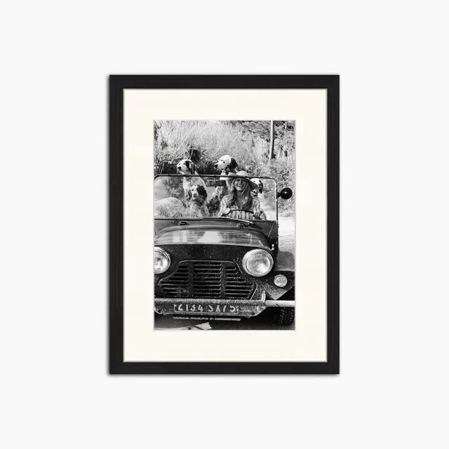 Any Image Liv Corday Brigitte Bardot with Dogs tableau noir et blanc