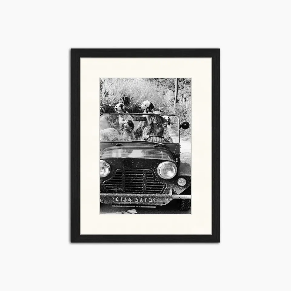 Any Image Liv Corday Brigitte Bardot with Dogs tableau noir et blanc