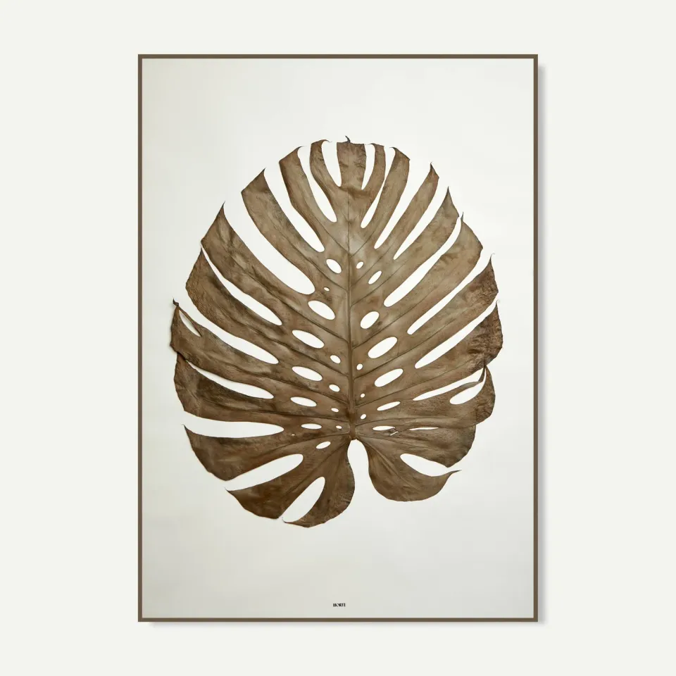 Horti LE GRAND MONSTERA herbier feuille de monstera